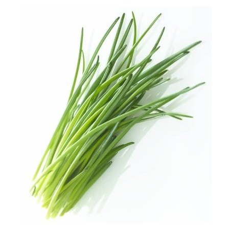 ERBA CIPOLLINA VASSOIO 20 GR FRESCA